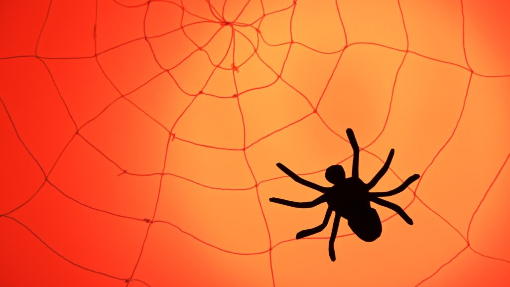 spider art